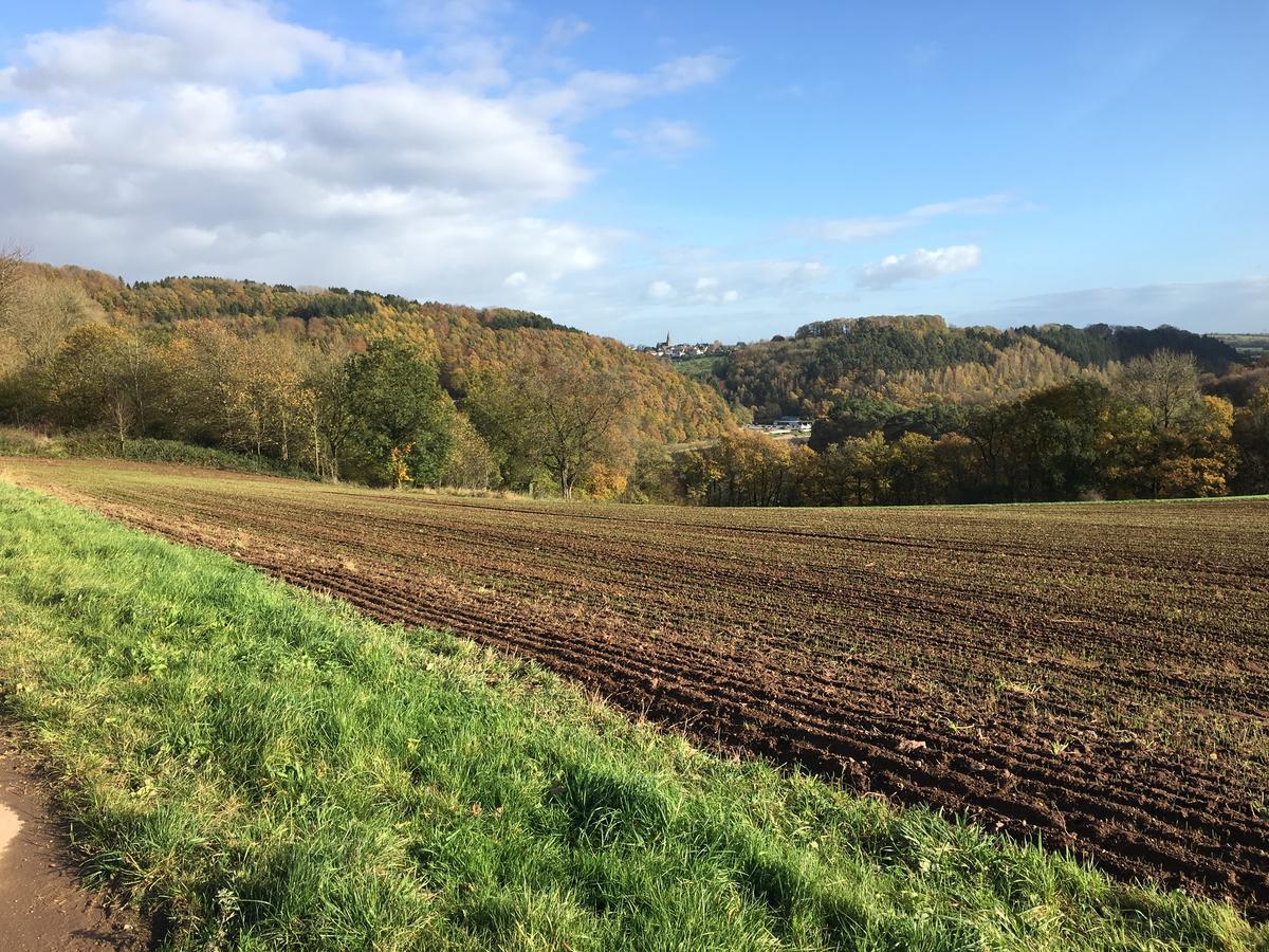 Ferienhaus Stausee Bitburg Villa Biersdorf am See Ngoại thất bức ảnh